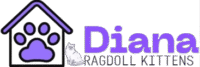 Diana Ragdoll Kittens